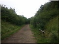 Remains of a bench next to the cycle track on the old railway track, heading north