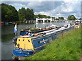 A narrowboat moored near Teddington Weir