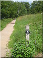 The Thames Path near Ham