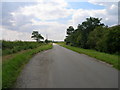 Ferry Road towards Goxhill