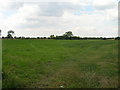 Farmland near Goxhill