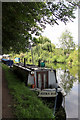 Nookie Bare, Narrowboat, River Lee Navigation