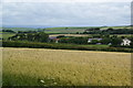 Wheat field near Kingston