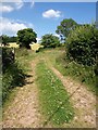 Track near Fenton Farm