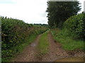 ST7853 : Roman road, now a farm track by Rob Purvis