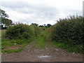 ST7853 : Roman road, now a farm track, looking south by Rob Purvis
