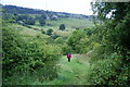 Walking in the Tame valley on a wet day