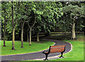 J2664 : Park seat, Lisburn by Albert Bridge