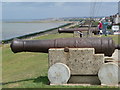 Tankerton: cannons on Marine Parade gardens