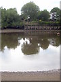 Riverfront retaining wall at Brentford Dock Marina