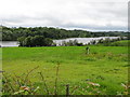 H5617 : Long Lough viewed from the grounds of the Drum Parish Church by Eric Jones
