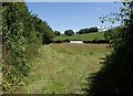 Field at East Mere Cross