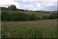 View over the valley of Dounie Burn, near Kirkmichael