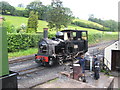 The Earl at Llanfair Caereinion