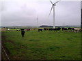 Wind Turbines at Haswell Moor