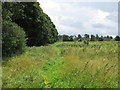 TM1541 : Footpath over meadow by Roger Jones