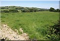 Pasture above Clayhanger