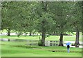 Flooded golf course, North Inch