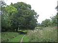 Vinters Park Valley Nature Reserve