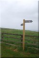 Northumberland Coast Path signpost, Low Newton