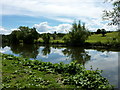 View across the River Medway at Wateringbury