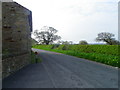 Minor Road near Dobsons Farm