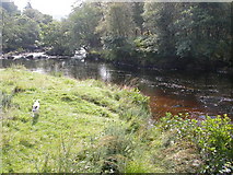 NM6947 : River Aline near Rose Cottage by Peter Bond