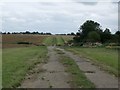 Track across Martin Moor