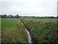 Grange Pool near Stalmine