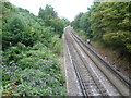 The Hounslow Loop from Clayponds Lane bridge