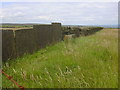 Dry Stone Wall and Trough