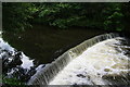 Weir on the River Roch