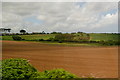 Farmland east of Gwinear Road