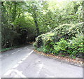 West Hoathly Road, near Standen