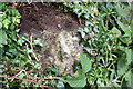 Benchmark on abutment wall of railway bridge west of Redmire Station