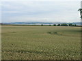 Farmland towards the Humber