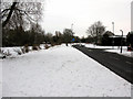 Frozen ponds beside Shaftesbury Avenue, Swindon