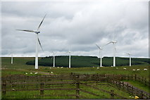 NT4757 : Dun Law East Windfarm by Mike Pennington