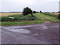 Track off Will Row, near Theddlethorpe