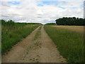 Farm track off West Halton Lane