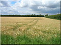 SE8719 : Farmland near Coleby Wood by JThomas