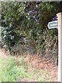 TM4160 : Signpost of the footpaths to Church Farm & B1069 Snape Road by Geographer