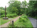 Cycle path and road in Forest of Dean