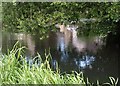 ST9387 : River Avon at Malmesbury by Derek Harper