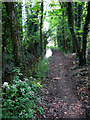 Path and stream from Little Clanfield towards Grafton