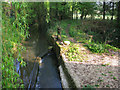 Section of the mill stream at Little Clanfield Mill