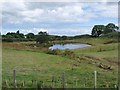 NZ2395 : Pond at Widdrington Moor by Oliver Dixon