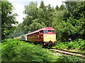 SO6107 : Dean Forest Railway near Parkend by Gareth James