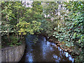 River Darwen, Mill Hill