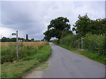 TM4261 : School Road & footpaths to Grove & Church Roads by Geographer